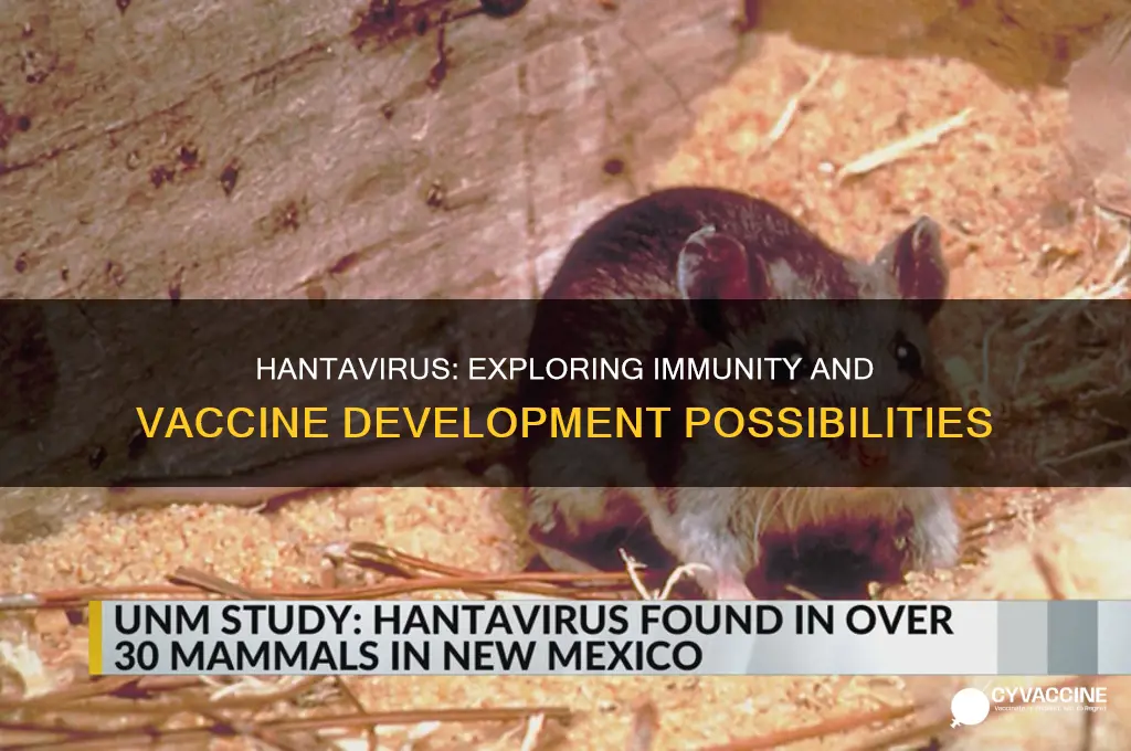 is there a immunity or vaccine against hantavirus