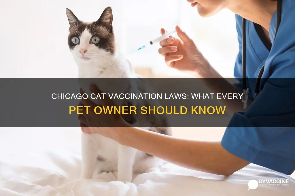 is there a kaw to vaccinate cat in chicago