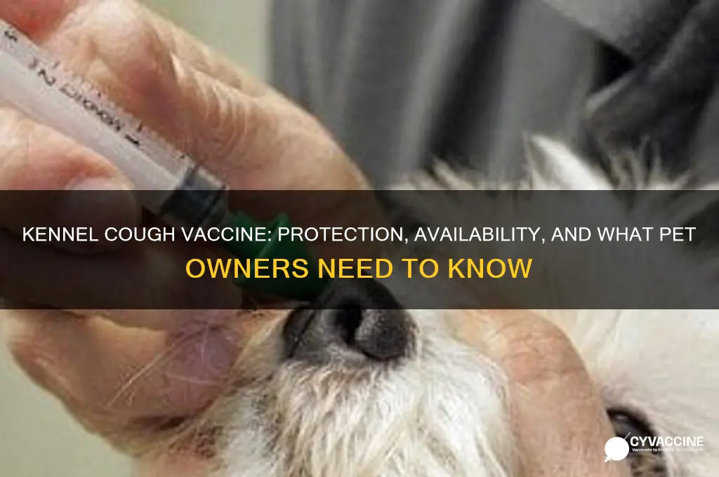 is there a kennel cough vaccine