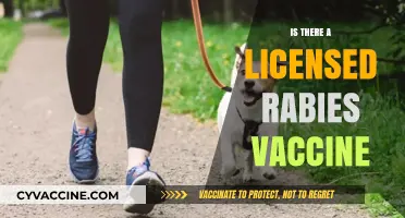 Rabies Vaccine Availability: A Comprehensive Guide to Staying Safe