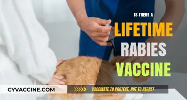 Exploring the Possibility of a Lifetime Rabies Vaccine: Facts and Myths