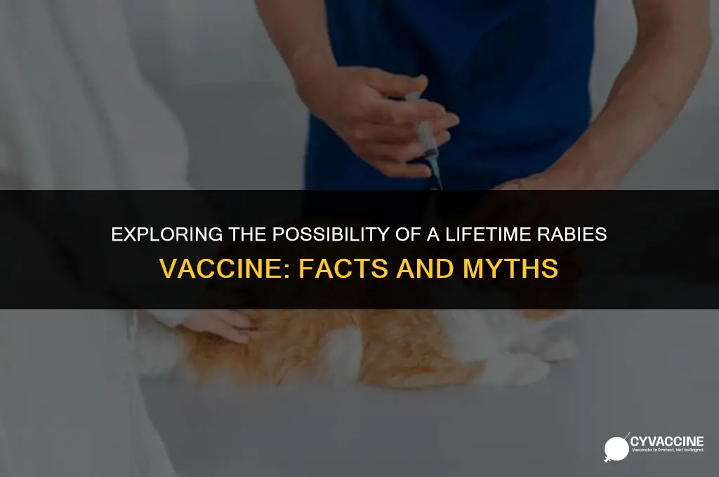 is there a lifetime rabies vaccine
