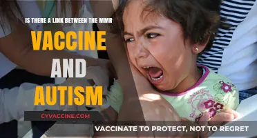 MMR Vaccine and Autism: Exploring the Link