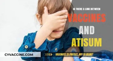 Vaccines and Autism: Debunking Myths and Understanding the Science