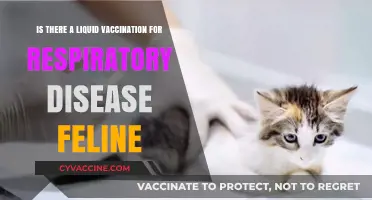 Liquid Vaccines for Feline Respiratory Diseases: Fact or Fiction?