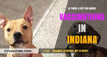 Indiana Rabies Vaccination Requirements: What Pet Owners Need to Know