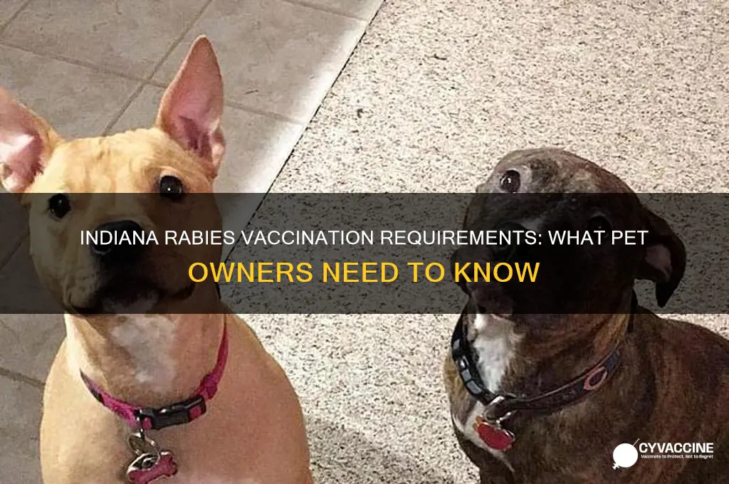 is there a list for rabies vaccinations in indiana