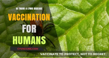 The Hunt for a Lyme Disease Vaccine: Human Trials