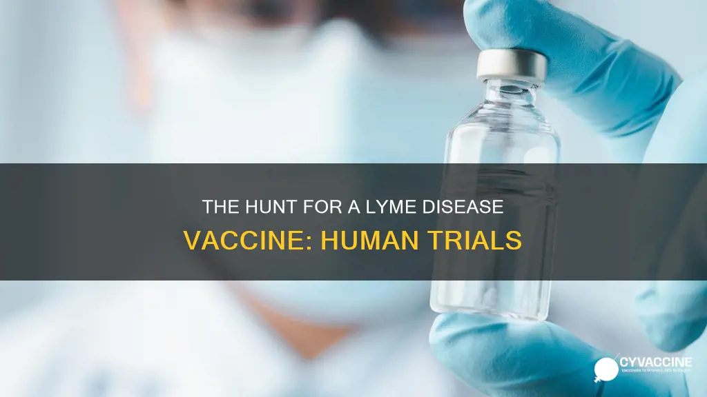 is there a lyme disease vaccination for humans