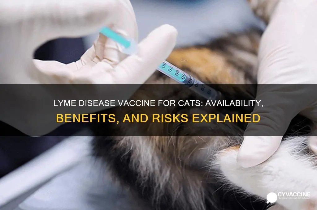 is there a lyme disease vaccine for cats