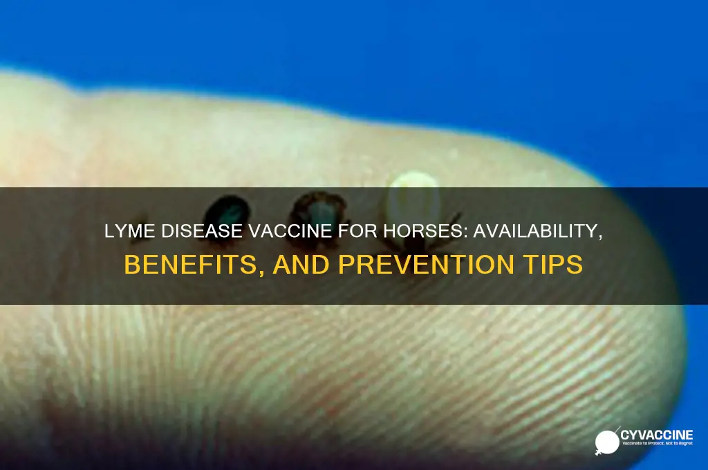 is there a lyme disease vaccine for horses