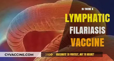 Exploring the Quest for a Lymphatic Filariasis Vaccine: Hope on the Horizon?