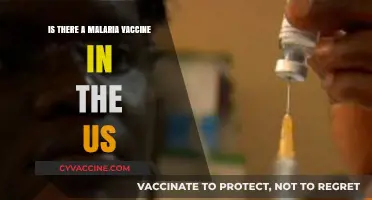 Malaria Vaccine Availability in the US: Current Status and Updates