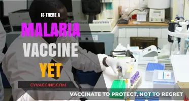 Breakthroughs in Malaria Prevention: The Quest for a Vaccine Continues