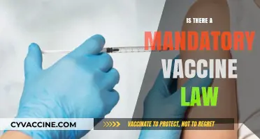 Exploring the Legal Landscape of Mandatory Vaccine Laws