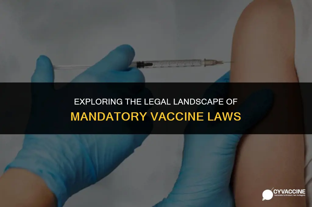 is there a mandatory vaccine law