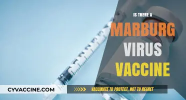 Exploring the Current Status of Marburg Virus Vaccines: Facts and Myths