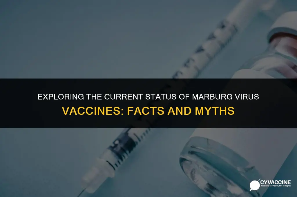 is there a marburg virus vaccine