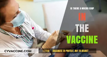 Microchip in Vaccines: Separating Fact from Fiction and Conspiracy