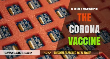 Debunking Myths: Are Microchips in the COVID-19 Vaccine?