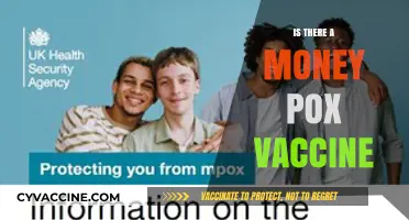 Exploring the Latest on Moneypox Vaccines: Facts and Updates