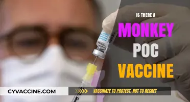 Exploring the Possibility of a Monkeypox Vaccine: Facts and Updates