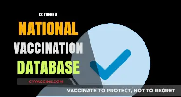 Exploring the Existence of a National Vaccination Database: Facts and Myths
