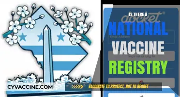 Exploring the Existence of a National Vaccine Registry: Facts and Insights