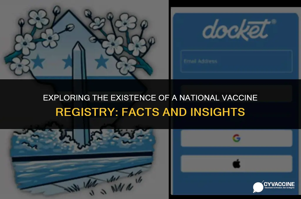 is there a national vaccine registry