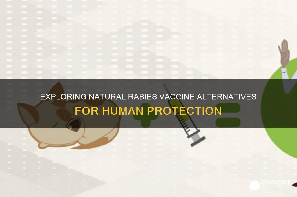 is there a natural rabies vaccine alternative for humans