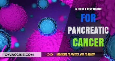 New Pancreatic Cancer Vaccine: Breakthrough or Still in Development?