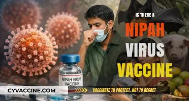 Exploring the Quest for a Nipah Virus Vaccine: Hope on the Horizon?