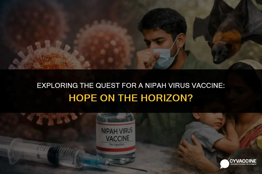 is there a nipah virus vaccine