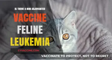 Non-Adjuvanted Feline Leukemia Vaccine: Availability and Benefits Explained