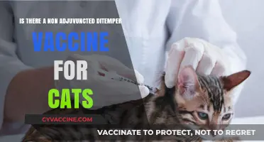 Non-Adjuvanted Distemper Vaccines for Cats: Options and Availability