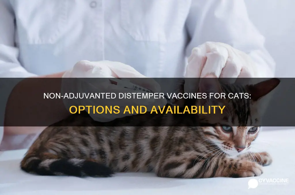 is there a non adjuvuncted ditemper vaccine for cats
