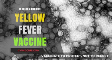 Non-Live Yellow Fever Vaccine: Availability, Safety, and Effectiveness Explained