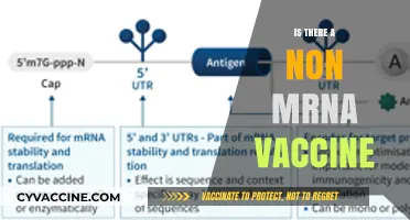 Exploring Alternatives: The Quest for Non-mRNA Vaccines