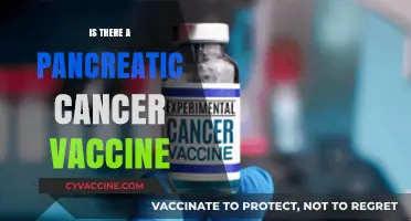 Exploring the Latest Advances in Pancreatic Cancer Vaccines