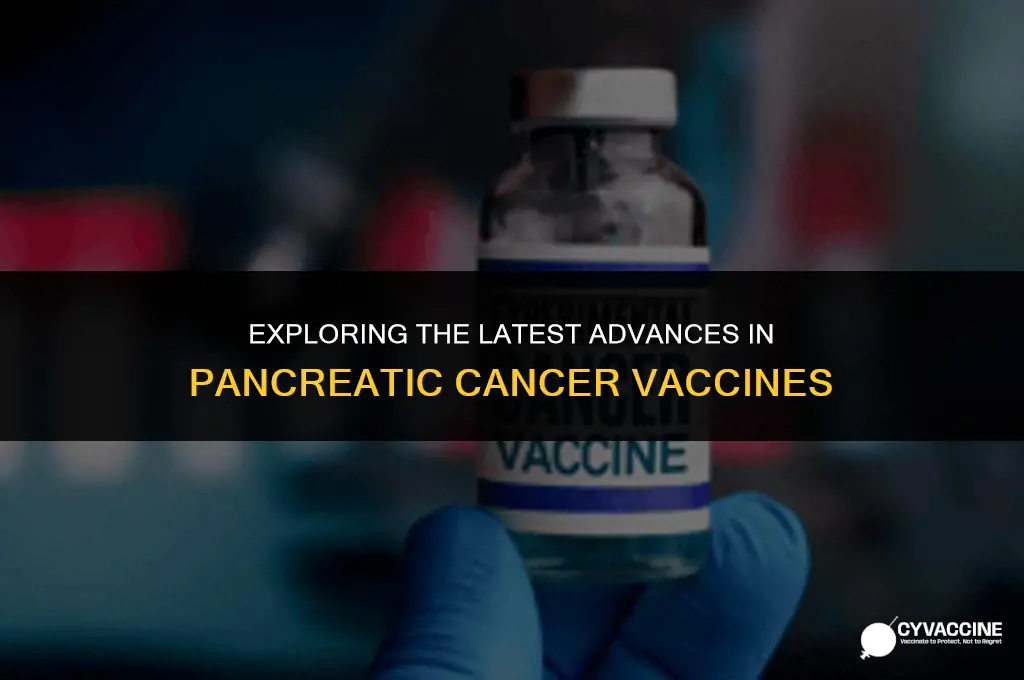 is there a pancreatic cancer vaccine