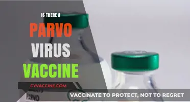 Protecting Your Pup: The Truth About Parvo Virus Vaccines