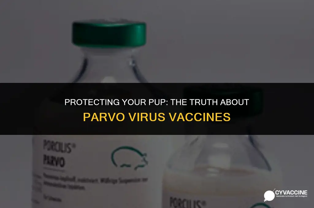 is there a parvo virus vaccine