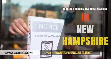 New Hampshire Vaccine Bill: What’s Pending and What It Means