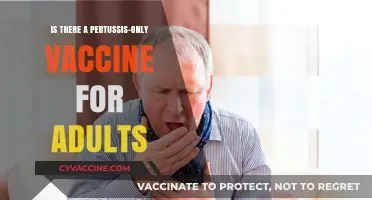 Pertussis-Only Vaccine for Adults: Availability and Importance Explained