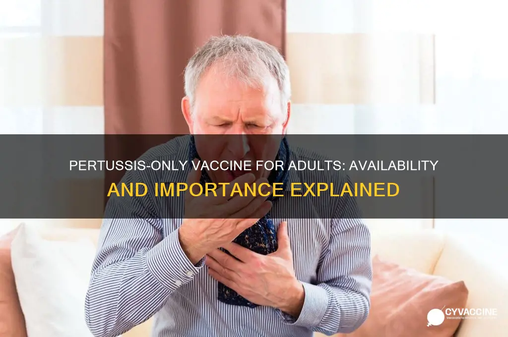is there a pertussis-only vaccine for adults