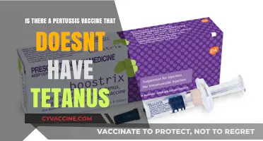 Exploring Pertussis Vaccines: Are Tetanus-Free Options Available?