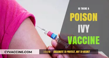 Exploring the Possibility: Is There a Poison Ivy Vaccine?