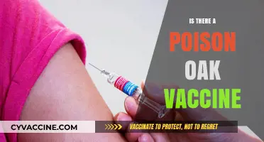Exploring the Possibility: Is There a Poison Oak Vaccine?