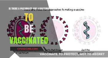 Can Bacteria Be Vaccinated? Exploring Microbial Immunity Possibilities
