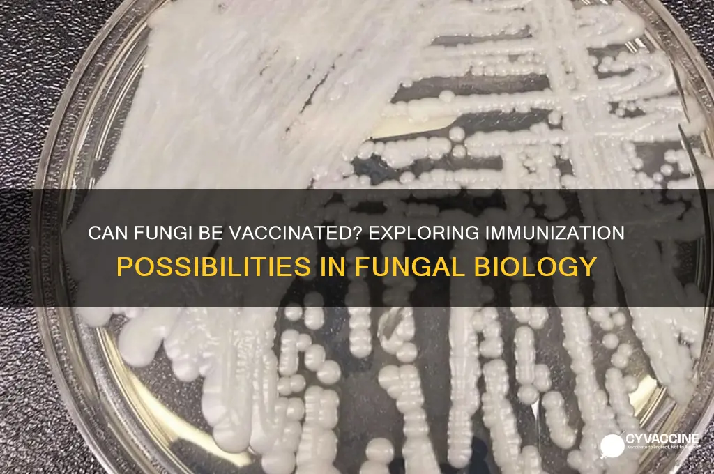 is there a possibility for a fungi to be vaccinated